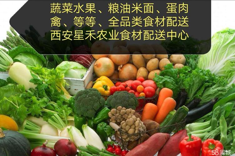 西安欣桥农产品蔬菜批发配送市场 农副产品流通的西部枢纽