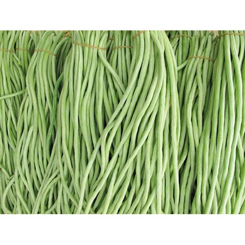 聚焦农副产品 从田间到镜头的独特魅力