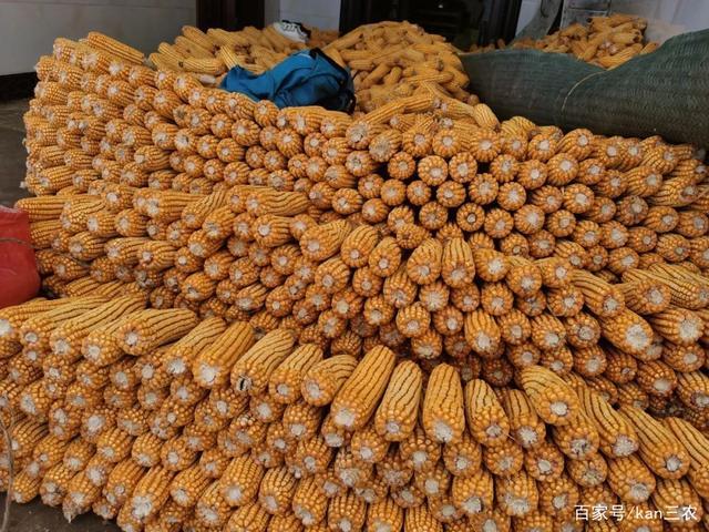 大山深处的丰收欢歌——瑶族农副产品掠影