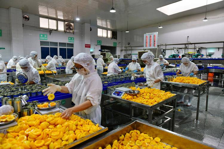 秭归黄桃深加工 小果子做成大产业